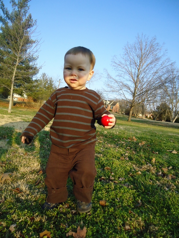 slideshow image
